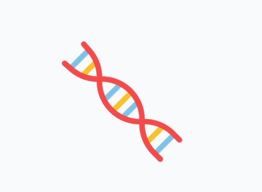 DNA structure
